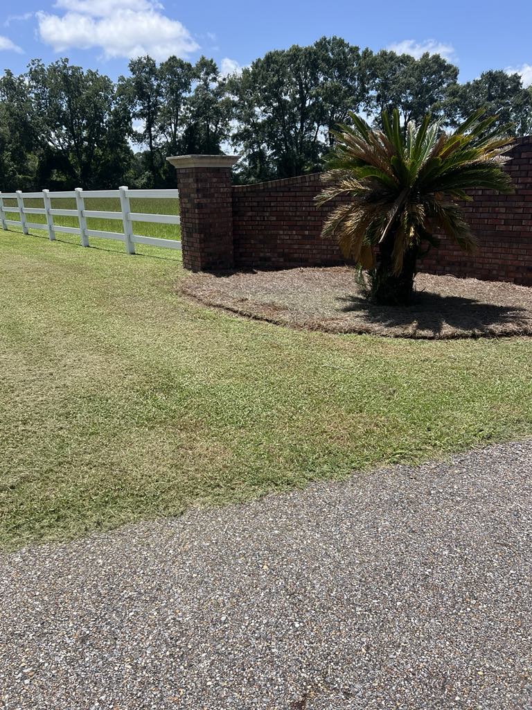 52571897-1dda-4f07-89ff-7dbe72f04140