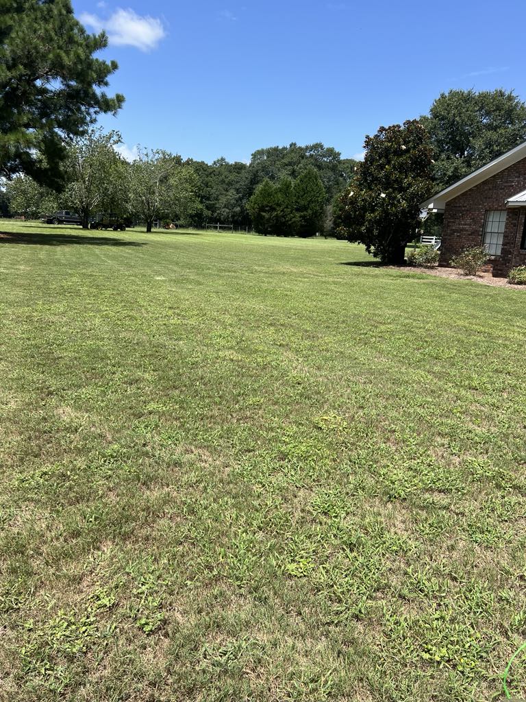 5e8fbb73-4ca9-4d2d-9aee-7c0d3278112b