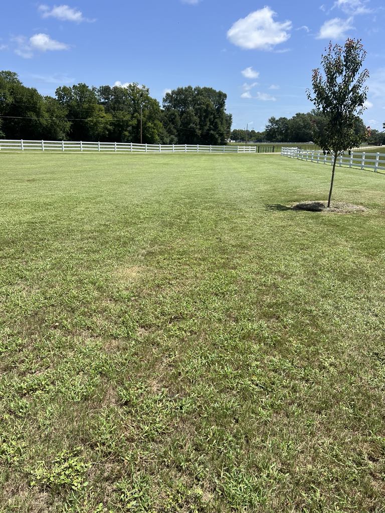 e9e7fd70-e503-44c0-8353-85b3f3160264